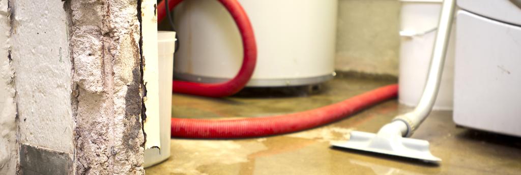 Hose